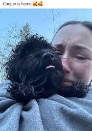 Found pet at Gilbert Park in Eugene, Oregon