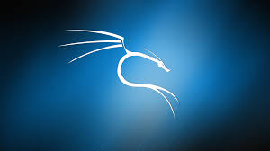 Kali Linux R Wallpapers Blue Background Wallpapers Blue Backgrounds Linux