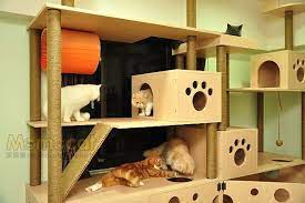 momocat 摸摸貓 手作貓跳台貓家具 隨意窩xuite日誌 home decor bird house outdoor decor