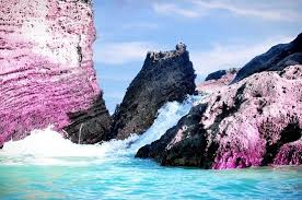 Bermuda is opening up just in time for summer! Bermuda Picture Of Bermuda Caribbean Tripadvisor