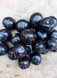 Image result for Vitex doniana