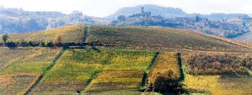 The region's pedigree is apparent in its 58 doc and docg zones, and although it is only the sixth largest producer in terms of volume, it has the highest percentage of classified wines in all of italy. Langhe Wine Region Of Piemonte Martha S Italy