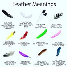 Black And White Road Signs Meaning Pin By Shannon O Keefe On Interesting Stuff Feather Meaning Feather Color Meaning White Feather Meaning