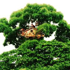 Mark Vose (@vosemark) · Instagram photos and videos