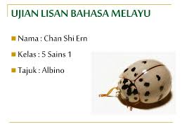 Panduan ujian lisan bahasa melayu untuk calon persendirian tertakluk kepada pindaan oleh lpm posted on. Ppt Ujian Lisan Bahasa Melayu Powerpoint Presentation Free Download Id 5533644