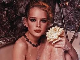 Gary gross pretty baby / 30 beautiful photos of brooke shields as a teenager in the. Gary Gross Pretty Baby Garry Gross Artnet Letgo Letout Letlive