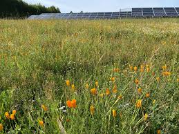 ENERY 2022 SUSTAINABILITY REPORT