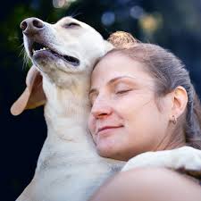 Ryan Beebe Insurance Agency