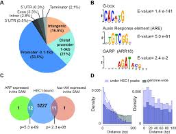 We did not find results for: Control Of Plant Cell Fate Transitions By Transcriptional And Hormonal Signals Elife