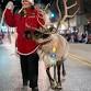 37th Annual Lakeshore Holiday Parade event image