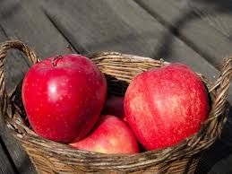 Apfel (german for apple) is a surname. Gloster Apfel