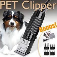 Pin On Pet Products