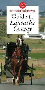 Bird In Hand Bake Shop Lancaster Pa Fall In Love With Lancaster County Pennsylvania Samantha Brown S Places To Love Amish Country Pennsylvania Lancaster County Pennsylvania Amish Country