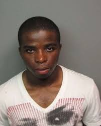 22 charged in Capital Region drug ring