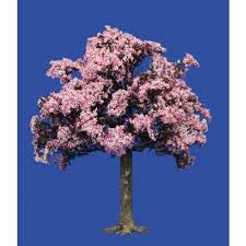 Flowering cherry trees are found in a vast variety around the globe but exhibit some common characteristics. Collections