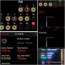 Activity Rings On Iphone App Are Grayed Apple Community