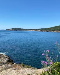 Can you believe this mandevilla vine? And my flower boxes? It's such a  treat to see this view from my kitchen and through our family room. I've  never had much luck growing
