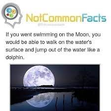 Check spelling or type a new query. Funny Facts But True Home Facebook