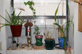 refurbished kitchen windowsill