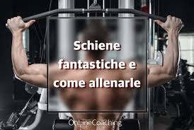 Come allenare i dorsali, ecco alcuni esercizi da fare comodamente a casa. Schiena Quali Muscoli E Come Allenarli Fit Planet Parma