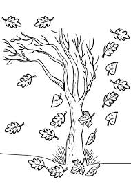 12 Disegni Di Alberi Autunnali Da Colorare Disegni Di Alberi Immagini Autunnali Disegni