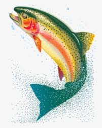 We did not find results for: Transparent Trout Png Cooked Fish Clip Art Png Download Transparent Png Image Pngitem
