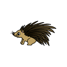 How to draw ferret for kids? How To Draw A Porcupine Step By Step Easy Drawing Guides Drawing Howtos