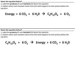 Photosynthesis And Cellular Respiration Comparison With