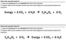 photosynthesis and cellular respiration comparison with