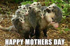 Because would you even be you if you didn't wish her the happiest mother's day with a funny quote or meme? 19 Funny Mother S Day Memes To Give Mom A Laugh