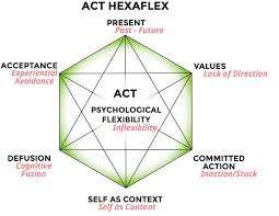 Any session at any stage of therapy. Act Hexaflex Diagram Medical Social Work Psychoeducation School Counseling Activities