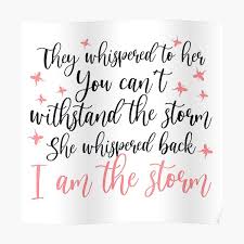 Today i whispered in the devil's car, i am the storm.. Home Furniture Diy I Am The Storm Metal Wall Sign Home Decor