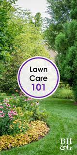 From Weeding To Fertilizing And Watering To Mowing We Have All The Lawn Care Tips You Need To Keep Your Grass Looking Lawn Care Tips Lawn Care Lawn And Garden
