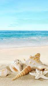 Beach Mobile Wallpaper Hd 2021 Live Wallpaper Hd Beach Pictures Wallpaper Ocean Wallpaper Photography Wallpaper