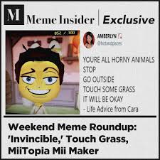 What Does To Touch Some Grass Mean On Tiktok