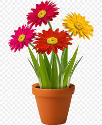 Find & download free graphic resources for flower png. Flowerpot Vase Clip Art Png 692x1010px Flowerpot Cut Flowers Daisy Family Floristry Flower Download Free