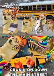 Many people first became familiar with the shiba inu from that 'doge' meme that was everywhere for a while (very. 23 Ide Le Dogelore Meme Meme Anjing Lucu