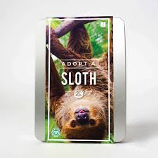 When other players try to make money during the game, these codes make it easy for you and you can reach what you need earlier with leaving i have ride fly reindeer ride fly artic reindeer ride fly sloth and some rats and stuff have an offer just reply. Adopt A Sloth From Gift Republic
