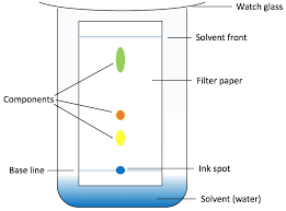 What is the principle of thin layer chromatography? Http Www Chemhume Co Uk As 20aqa 20chem Organic 3 16 20chromatography Pdf