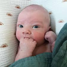 Susie Harrison (@susieharrison_) · Instagram 照片和视频