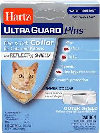 Available for 3 easy payments. Hartz Ultra Guard Flea And Tick Collars For Cats 1 Each Check Out The Image By Visiting The Link Flea And Tick Cat Fleas Fleas