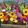 Local, seasonal flowers for florists. Https Encrypted Tbn0 Gstatic Com Images Q Tbn And9gctg3qh3t65qicgwvypwr9hxymajmjj6waa3pnddks0nv Gcbhnx Usqp Cau