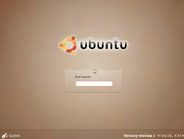 Image result for official intrepid ibex wallpaper