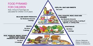 This Food Pyramid Explains Us The Various Sources Of Food Which Provides Essential Nutrients In The Form Calcium Iron Food Pyramid Food Pyramid Kids Nutrition