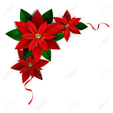 La flor de pascua odia la calefacción fuerte. Esquina Decoracion De Navidad En Blanco Flor De Pascua Con Las Cintas Del Vector Para Disenar Ilustraciones Vectoriales Clip Art Vectorizado Libre De Derechos Image 66798320