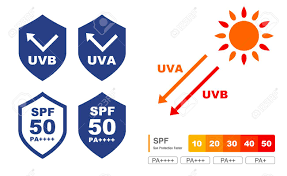 Uv Care Graphic Set Shield And Chart