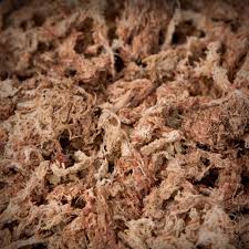 Image result for chilean sphagnum moss