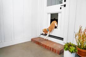 They can help you earn things too. Myq Smart Access Technology Gives The Dog House A New Meaning With Its Award Winning Pet Portal