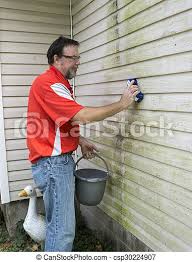 Removing the vines clinging to the side of the house can be a very difficult task. Removing Algae And Mold From Vinyl Siding Worker Removing Algae And Molf From A House With Vinyl Siding Canstock