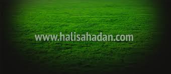 Fatih Hali Saha Fatih Deki Hali Sahalar Online Rezervasyonu Ve Fatih Hali Saha Fiyatlari